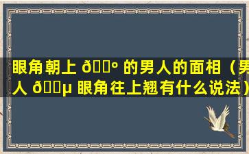 眼角朝上 🐺 的男人的面相（男人 🐵 眼角往上翘有什么说法）